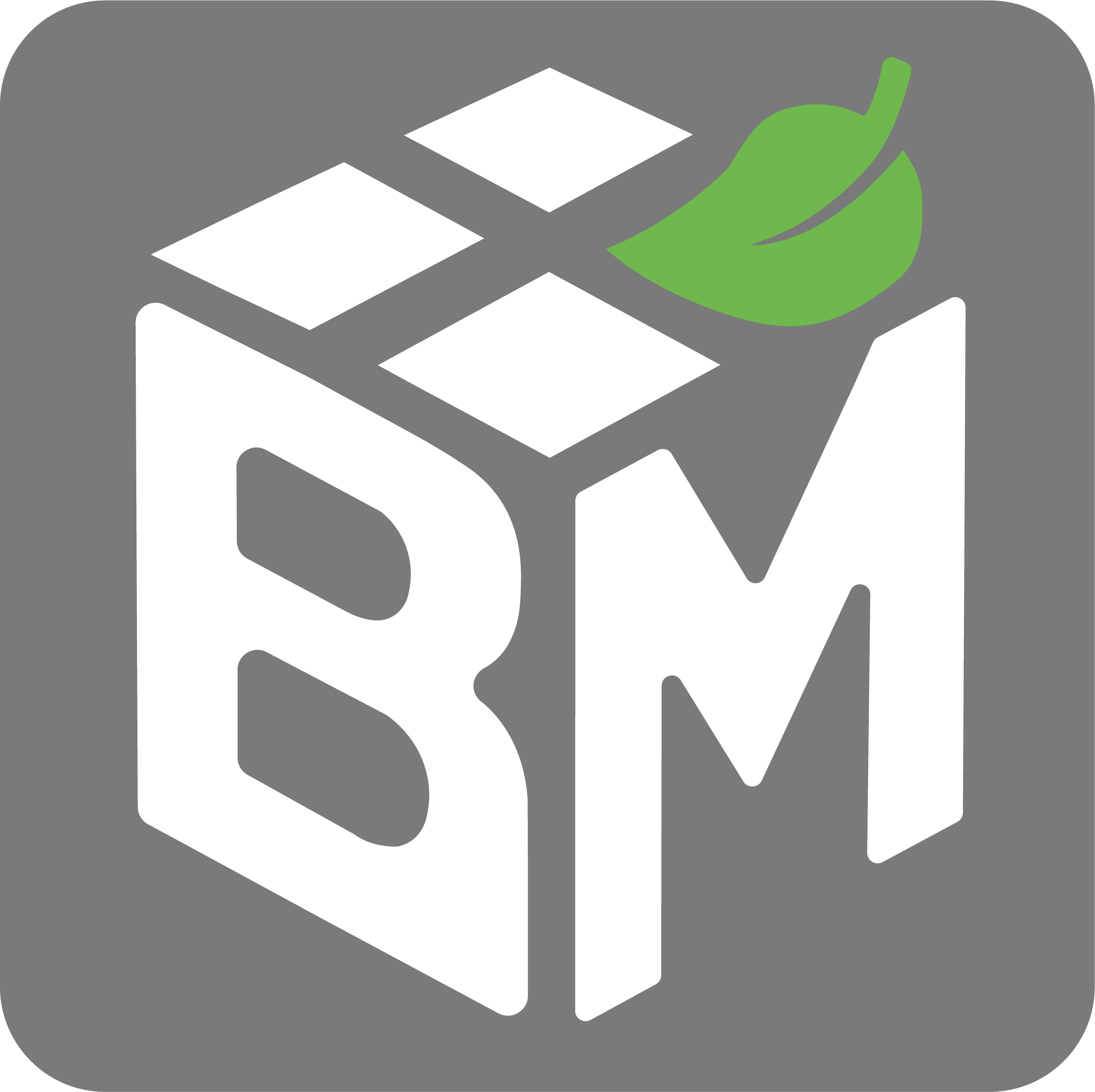 LOGO B+M